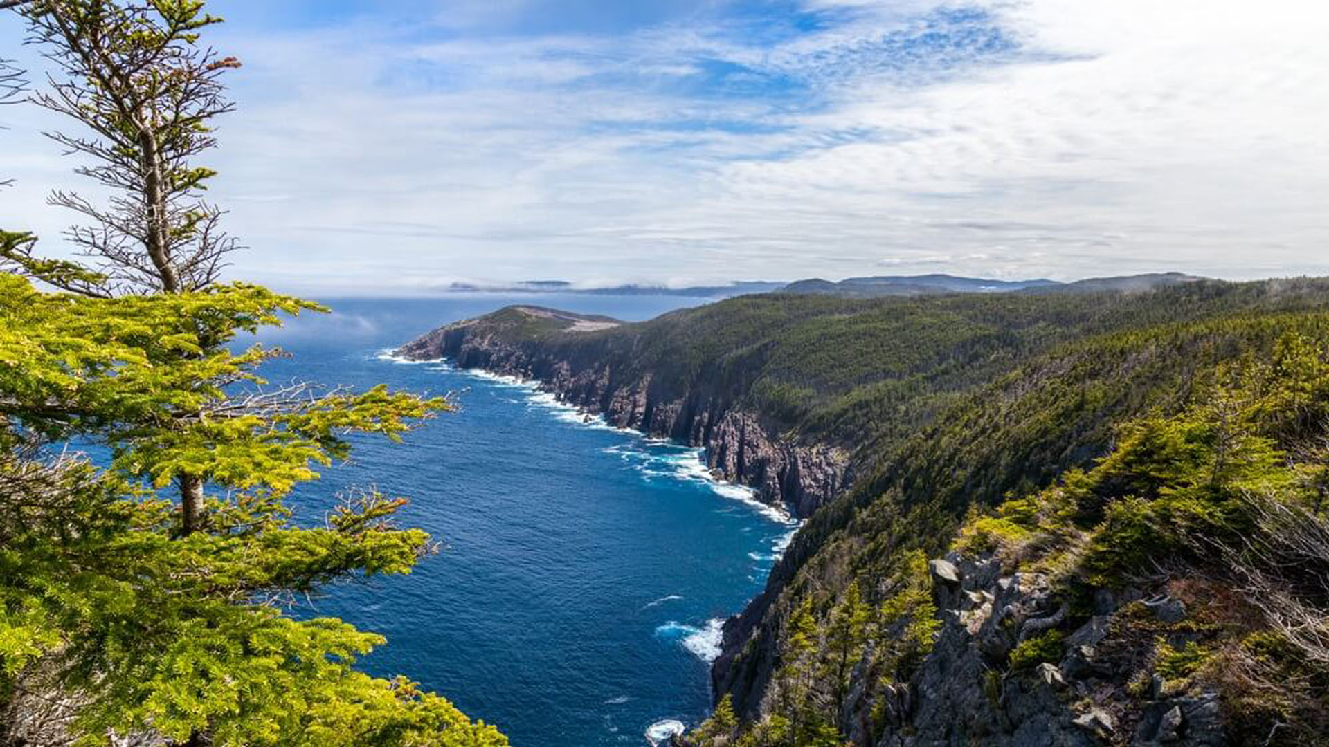 <p>Le sentier East Coast</p> <p>Le sentier East Coast</p>