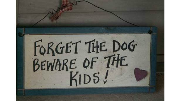 <p>Méfiez-vous des enfants, pas du chien!</p>
<p> </p>