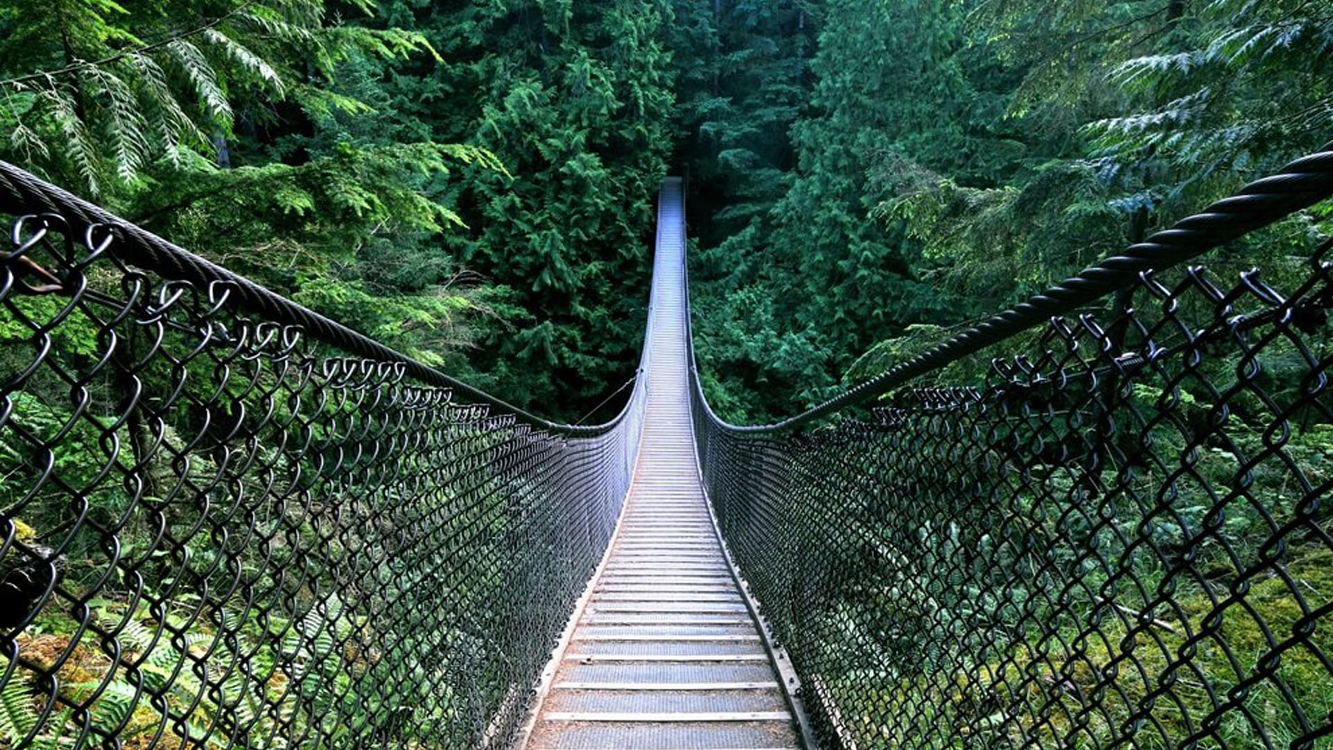 <p>Le parc de Lynn Canyon</p>
<p> </p> <p>Le parc de Lynn Canyon</p>
<p> </p>