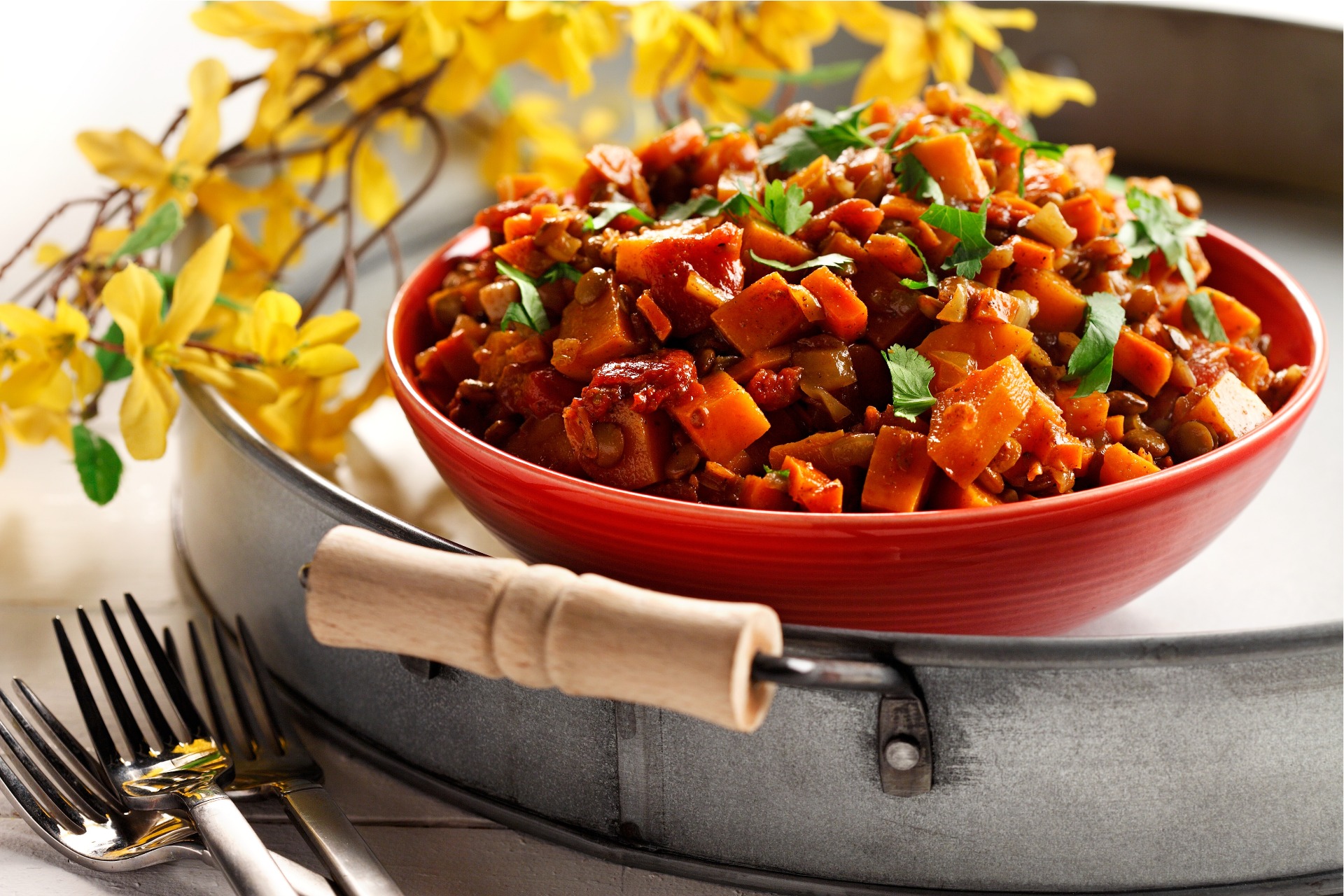 Bol de lentilles cuites au curry, carottes hachées et coriandre