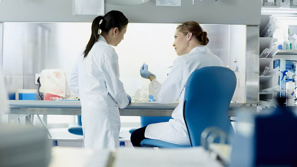 Deux chercheurs travaillant en laboratoire
