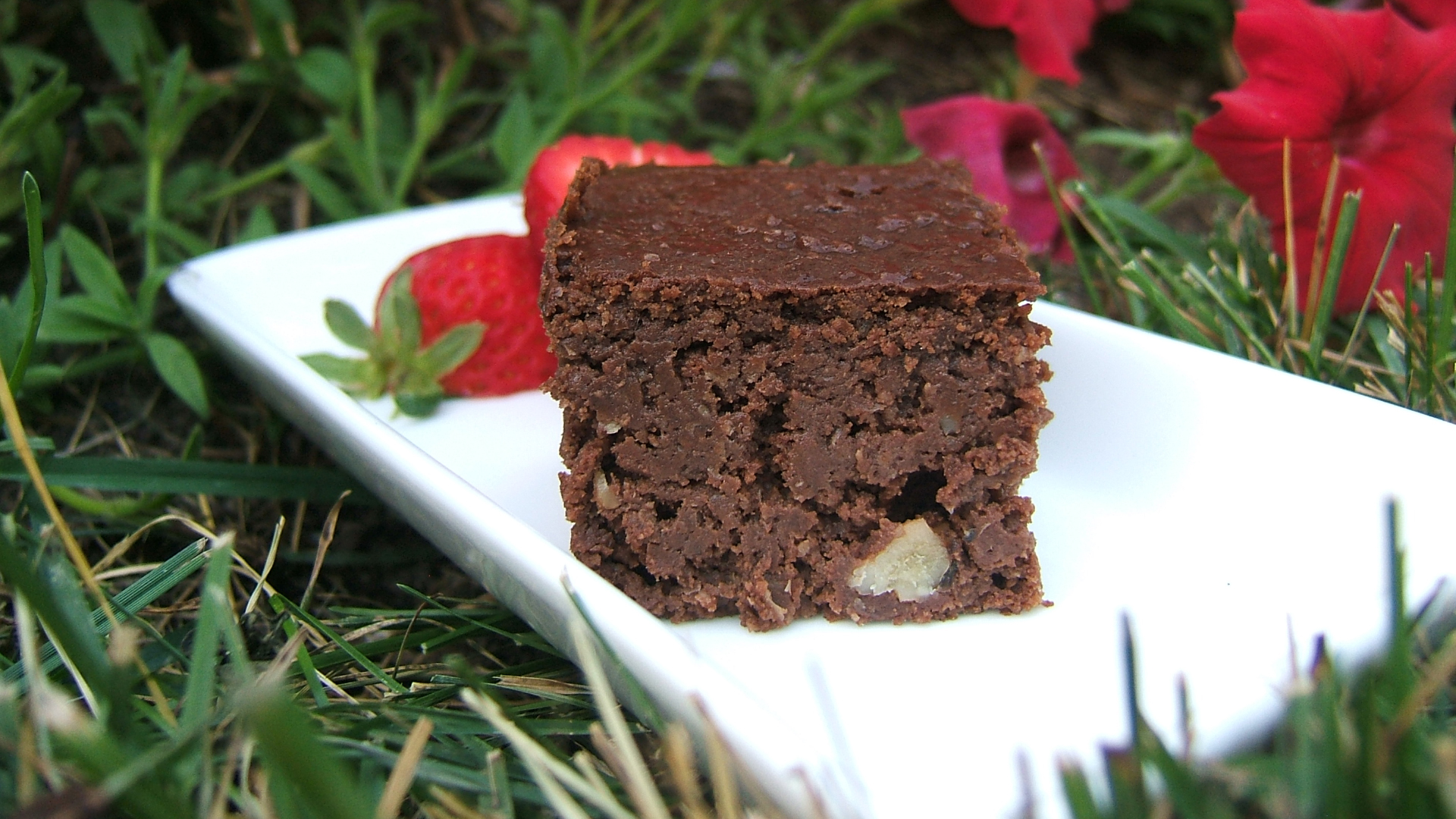 Chocolate walnut brownies