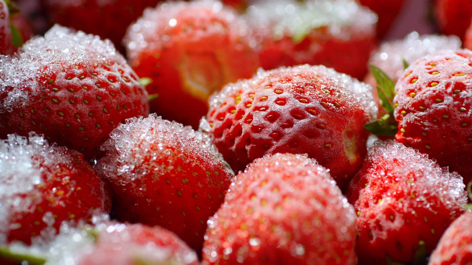 Fraises congelés dans un bol blanc