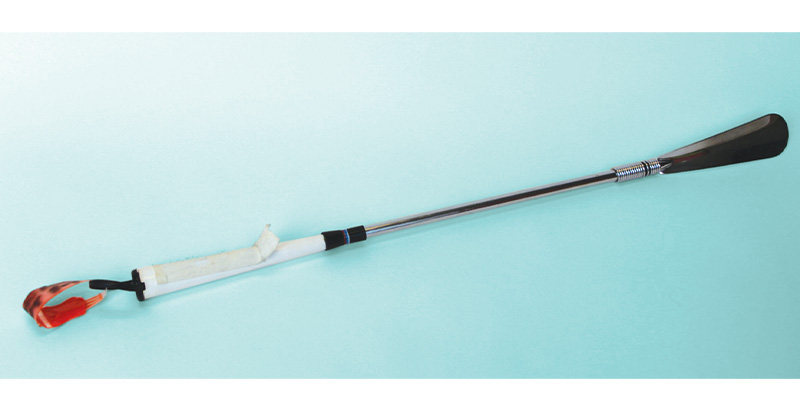 Chausse-pied à long manche