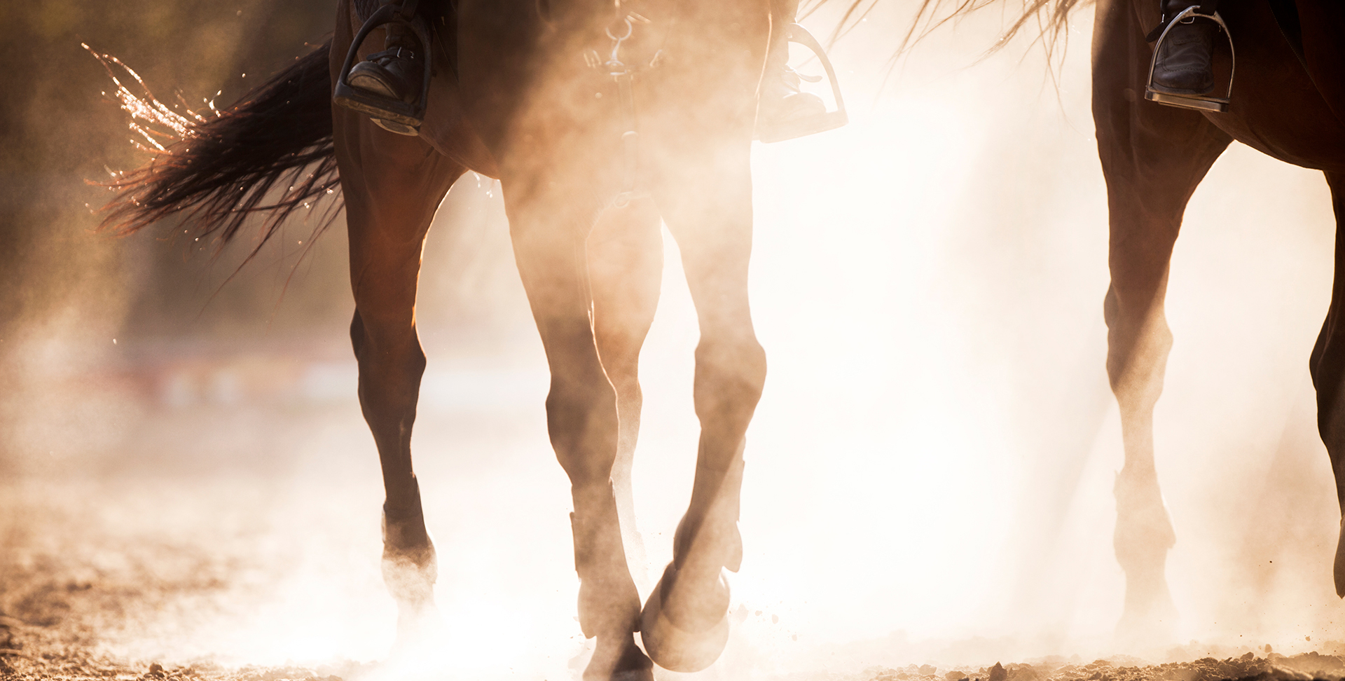 cheval