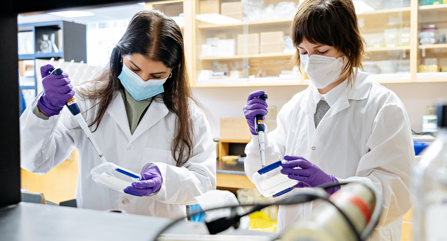 Des membres de l’équipe de recherche de Glen Pyle au travail dans leur laboratoire.