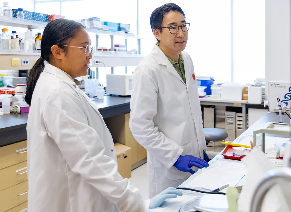 Le Dr Jonathan Choy discute avec son assistante de recherche, Jenice Dumlao, dans leur laboratoire.