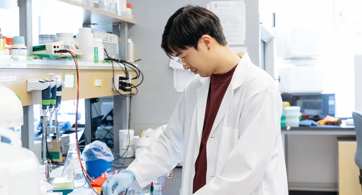 L’assistant de recherche du Dr Jonathan Choy, Franklin Tam, à l’œuvre dans leur laboratoire.