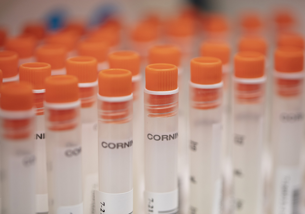 Gros plan de flacons de laboratoire
