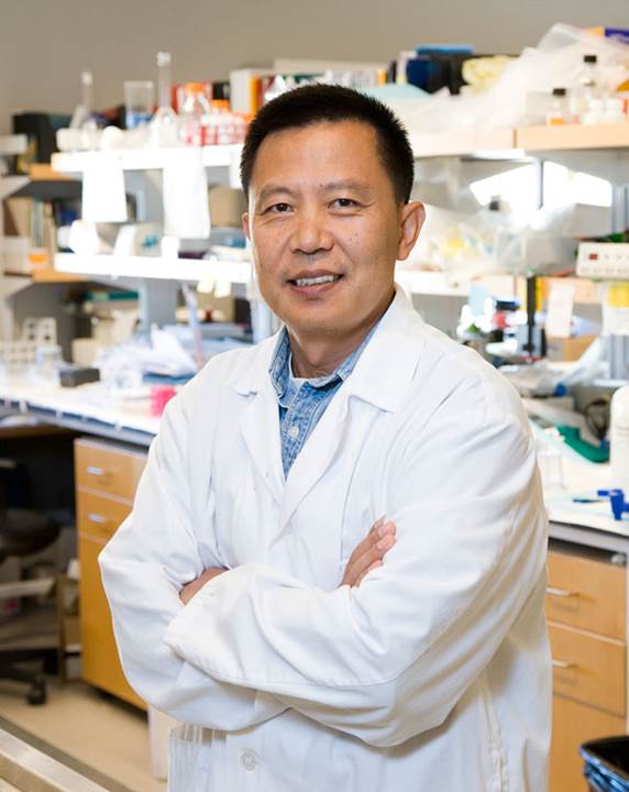  Docteur Yu Tian Wang dans son laboratoire